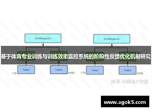 基于体育专业训练与训练效率监控系统的阶段性反馈优化机制研究